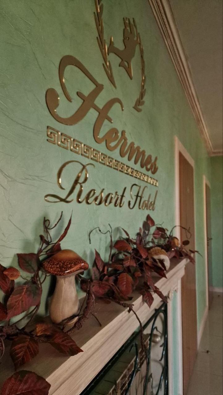Hermes Resort Hotel With Medical Treatment Truskavec Exteriér fotografie